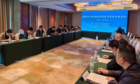 山东省数字经济专家咨询委员会召开2025春季座谈会，聚焦经济信息咨询赋能发展